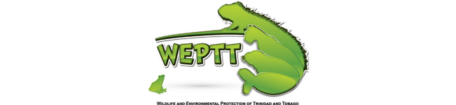 WEPTT