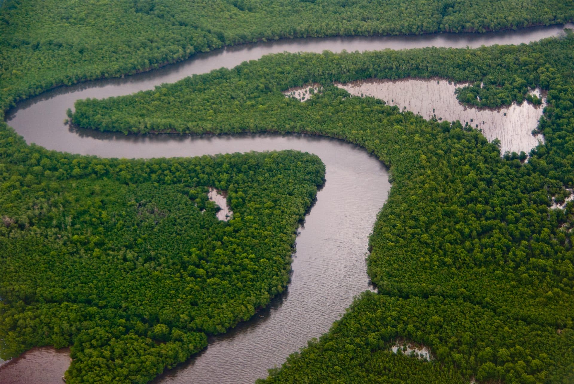 Aerial view of Caroni Swamp mangroves and waterways, Gulf of Paria, Trinidad
