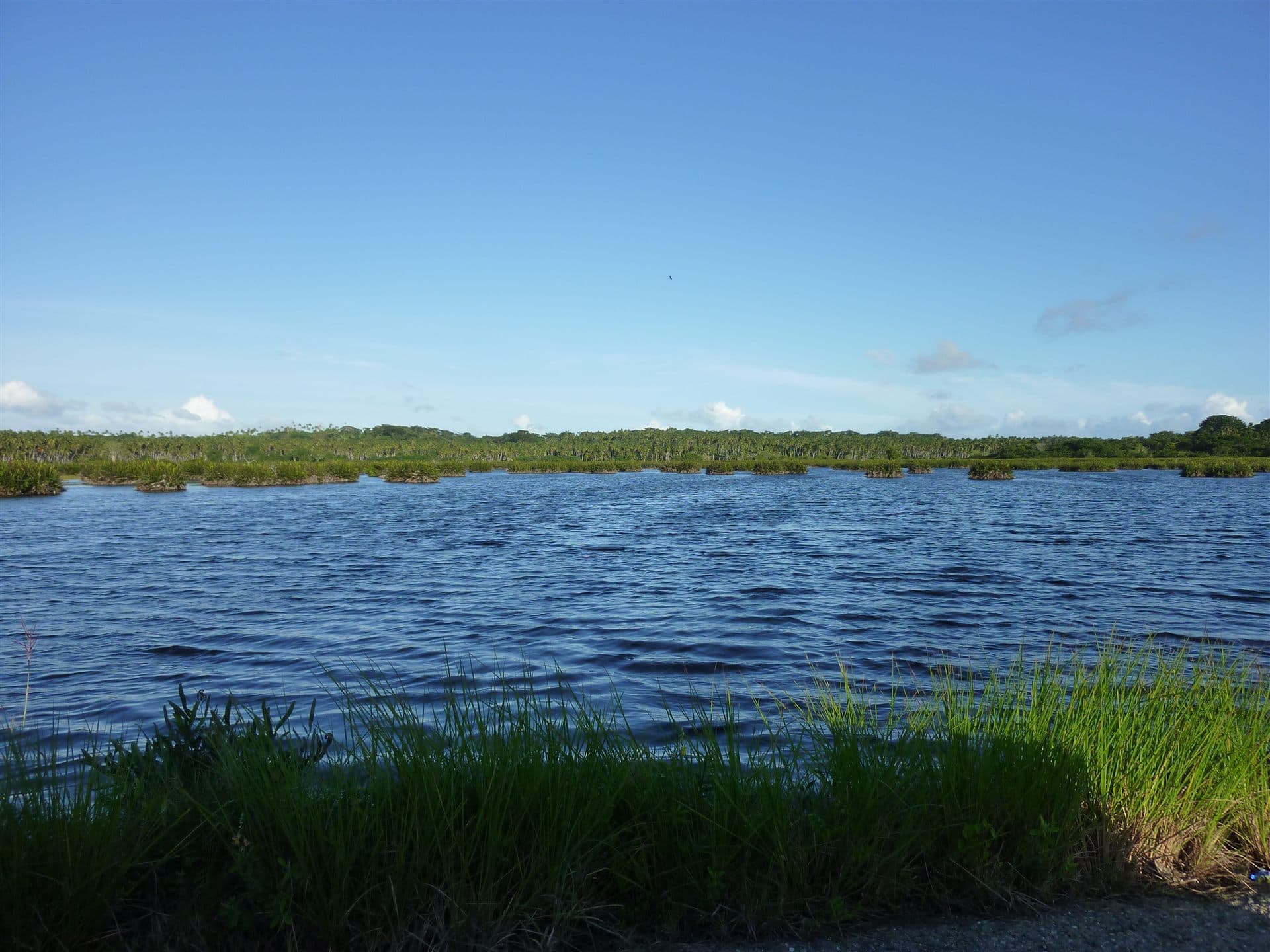 Icacos Wetlands, southwest Trinidad (representative Trinidad interior landscape)