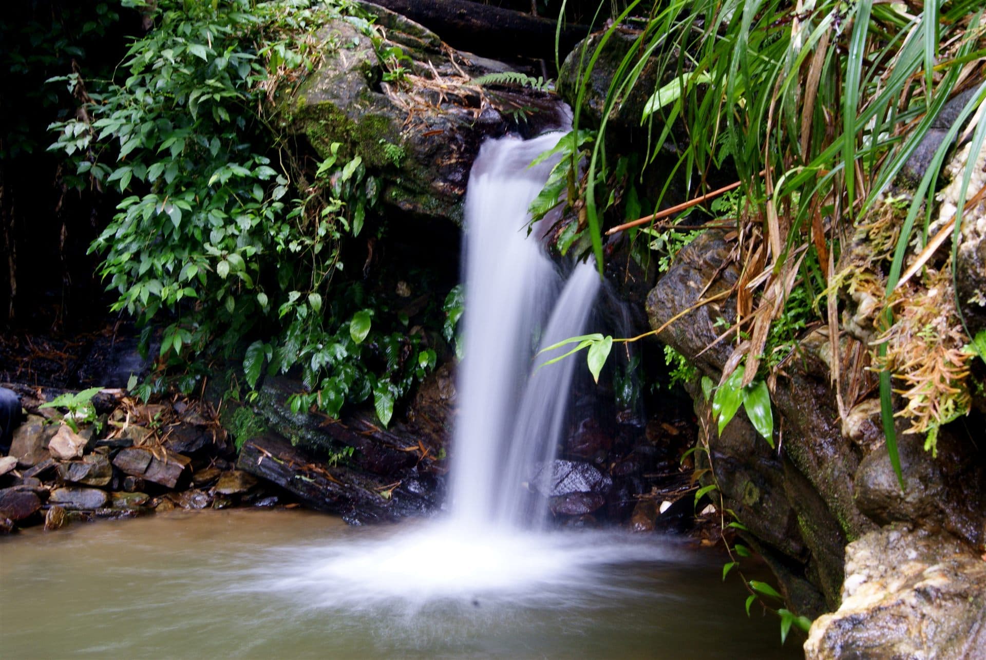 Waterfall in Northern Range forest, Asa Wright Nature Centre, Trinidad