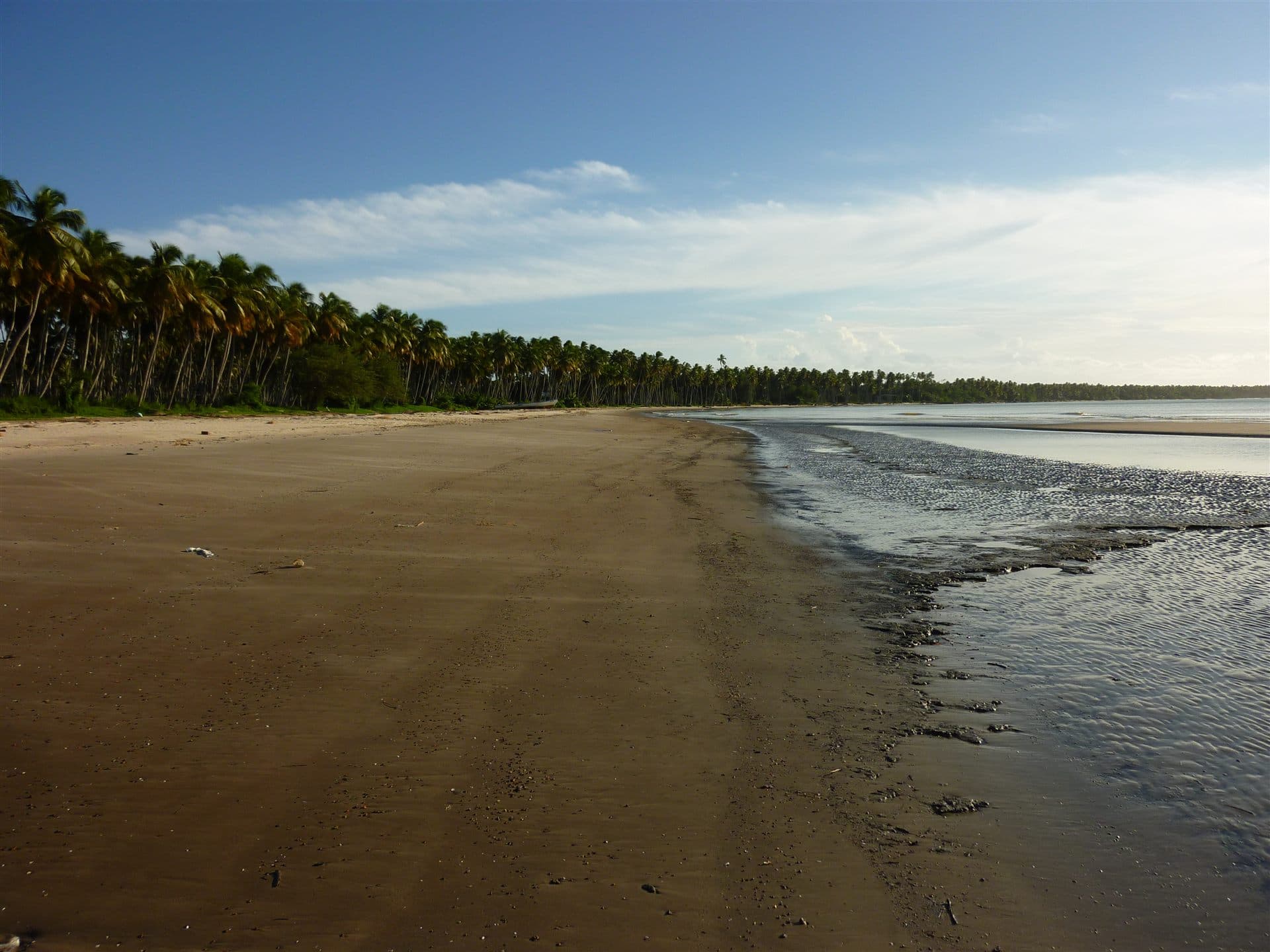 Columbus Beach, Icacos, southwest Trinidad (representative southern Trinidad coastal forest landscape)