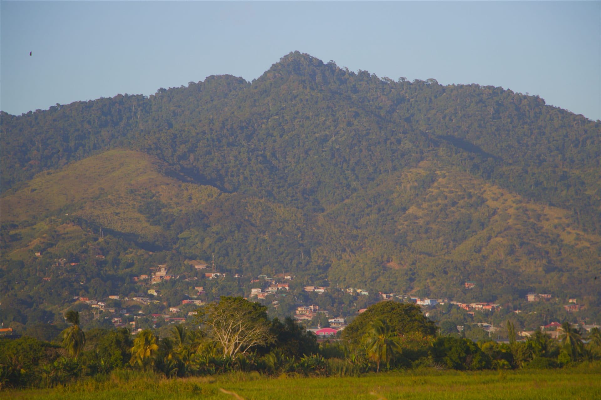 Forested Northern Range mountains rising above the Caroni plains, Trinidad